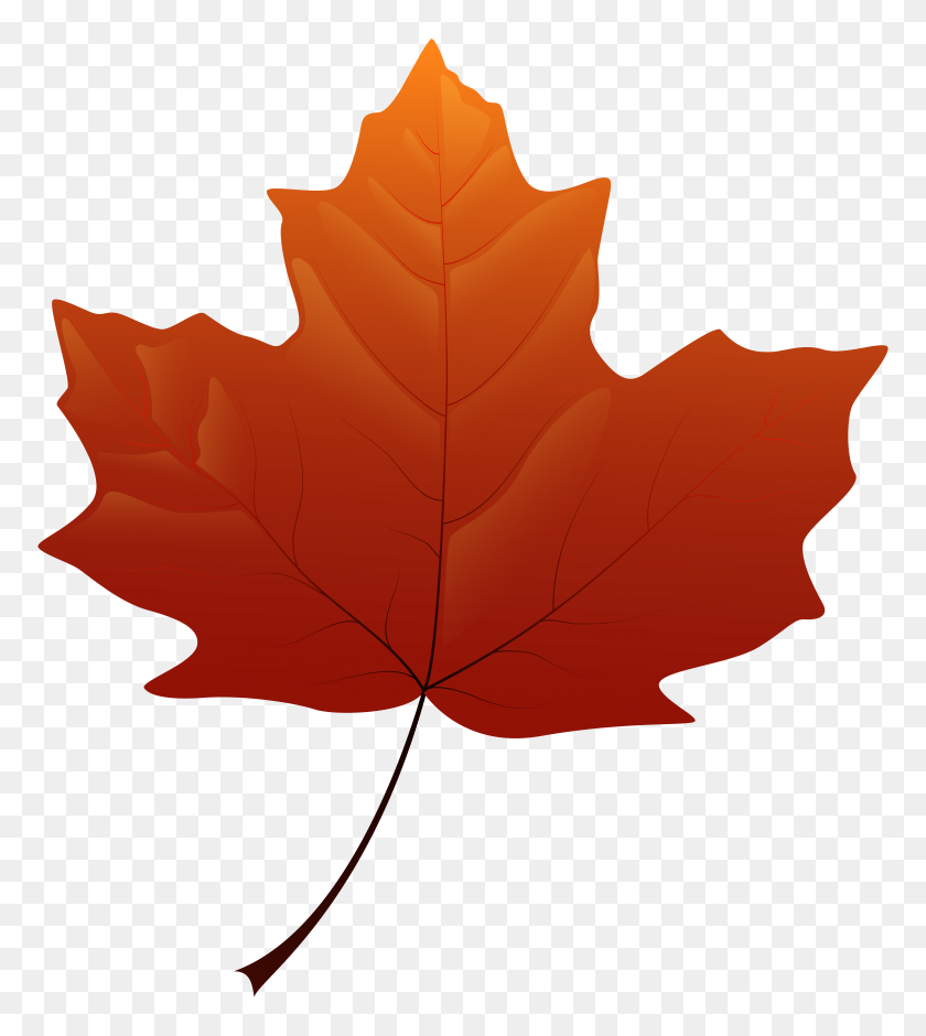 7090x8000 Autumn Leaf Png Clip Art - Red Leaf Clipart