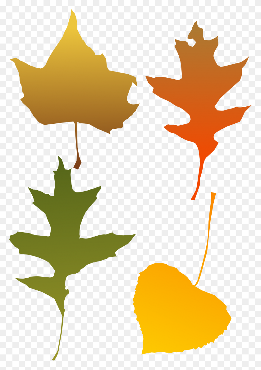 1656x2400 Autumn Leaf Selection Icons Png - Autumn PNG