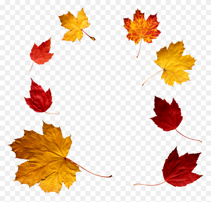 2889x2759 Autumn Leaves Circle Transparent Png - Leaf Pile PNG