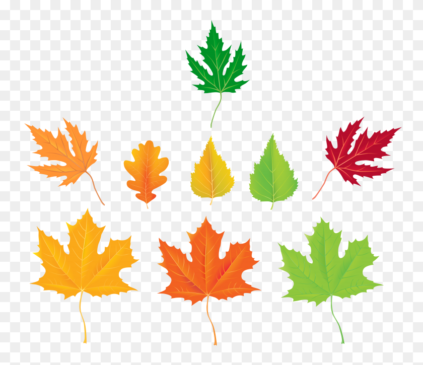 6610x5636 Autumn Leaves Collection Png Clipart - Fall PNG