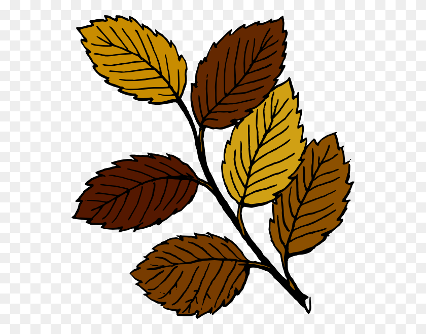 558x600 Autumn Leaves On Branch Clip Art Free Vector - Walking Dead Clipart
