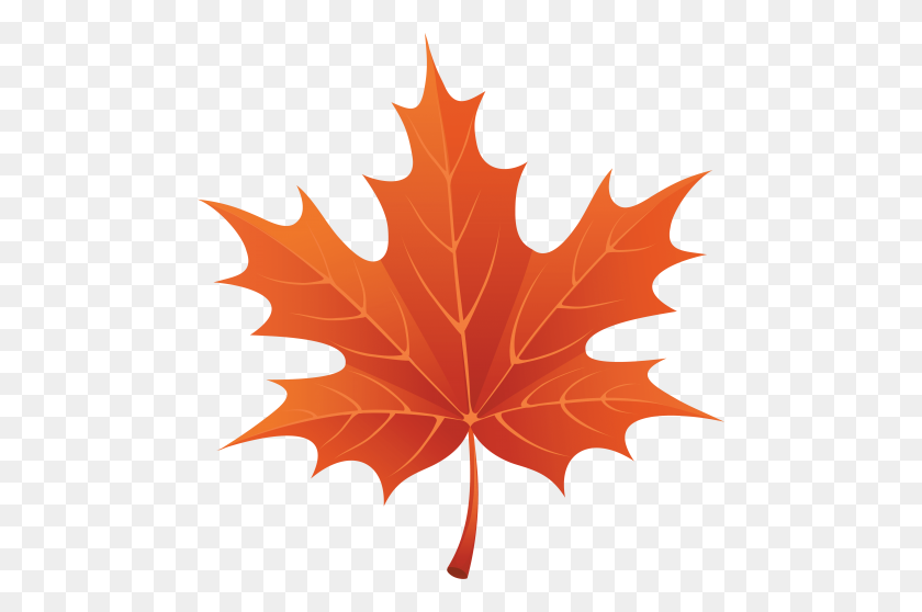 480x498 Autumn Leaves Png - PNG Leaves