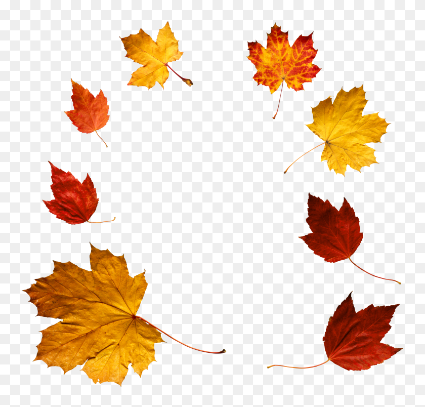 2985x2851 Autumn Leaves Png - Fall Leaves PNG
