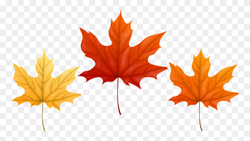8000x4254 Autumn Leaves Transparent Png Clip Art Gallery - Fall Background Clipart
