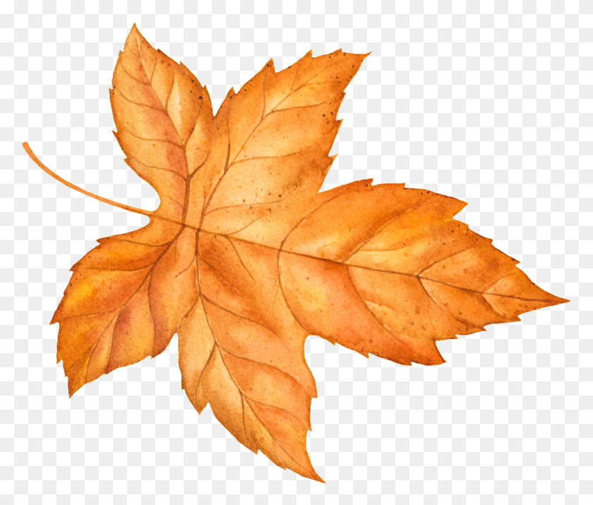 1024x860 Autumn Yellow Leaves Vector Free Download Png Vector - Fall Leaves Border PNG