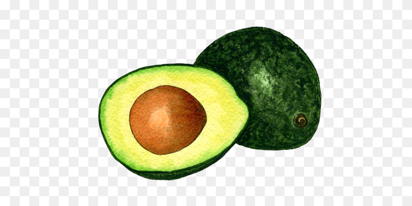 513x360 Aguacate - Aguacate Png