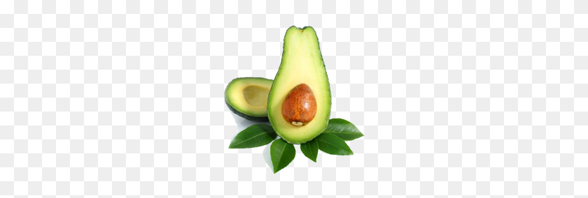 478x224 Avocado Png Images Free Download - Avocado PNG