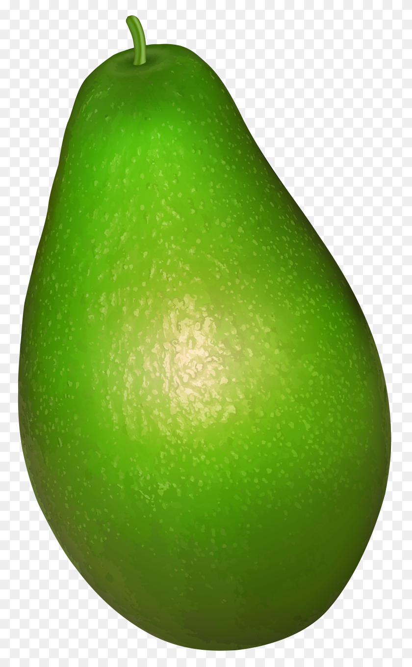 4807x8000 Aguacate Png