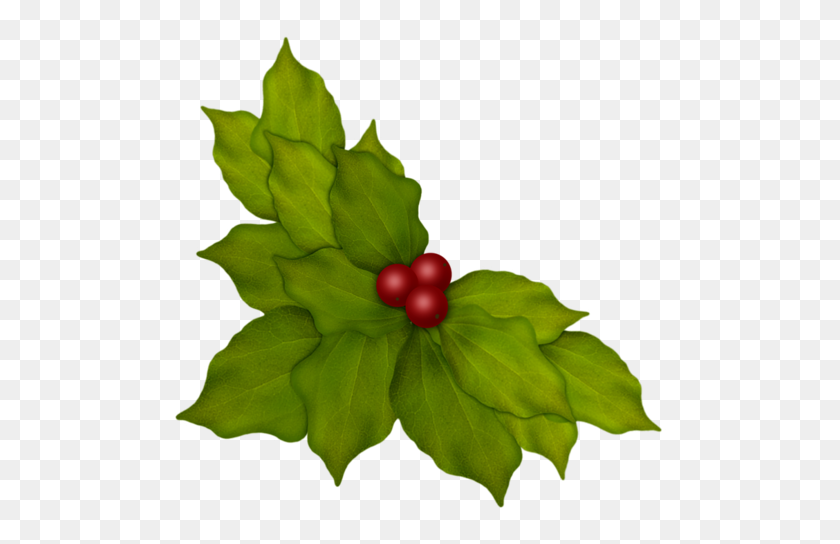 500x484 Aw Woodland Leaves And Berries Bells, Holly Pinecones - Pine Cone PNG