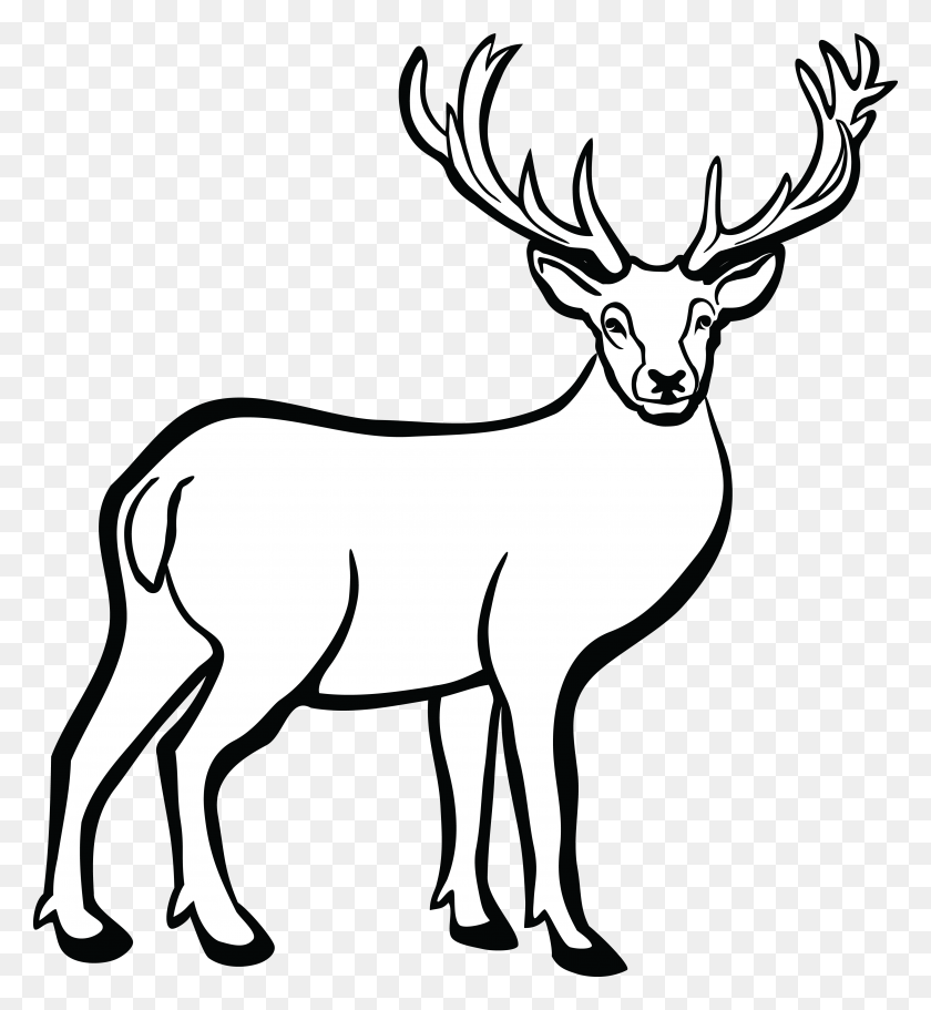 4000x4368 Axis Deer Black And White Clip Art - Buck Clipart Black And White