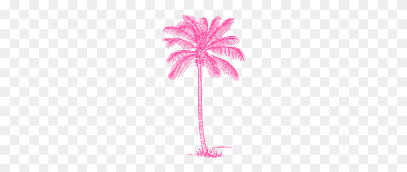 174x296 Azalea Coconut Palm Tree Clip Art - Palm Tree With Coconuts Clipart