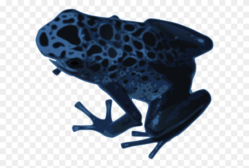 600x507 Azureus Frog Clip Art - Poison Dart Frog Clipart