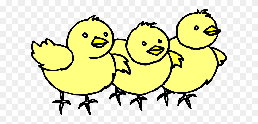 640x345 Baby, Barn, Farm, Chicken, Line, Art, Chicks, Chick - Baby Chick PNG