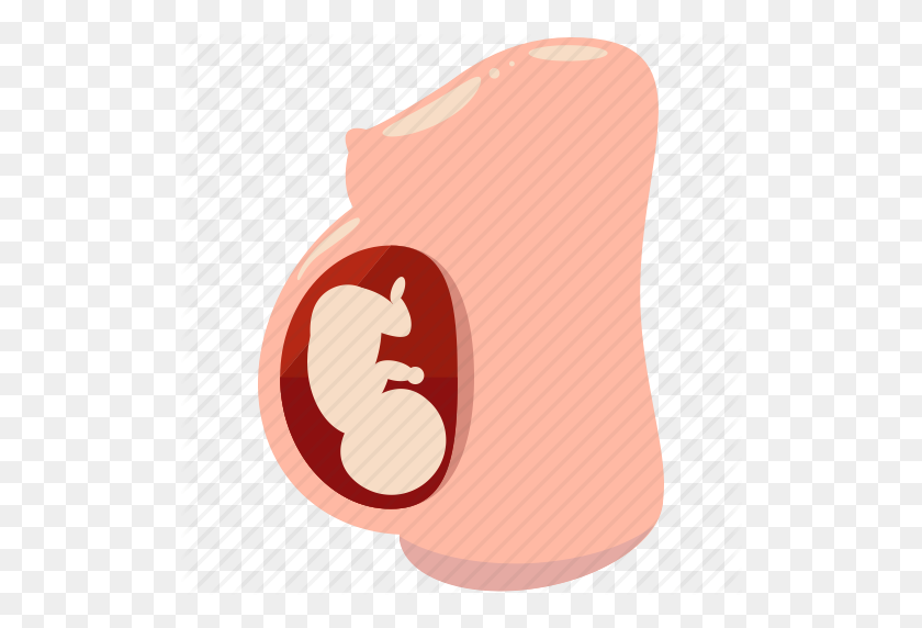 512x512 Baby, Belly, Fetus, Pregnancy, Pregnant, Woman Icon - Pregnant Belly Clipart
