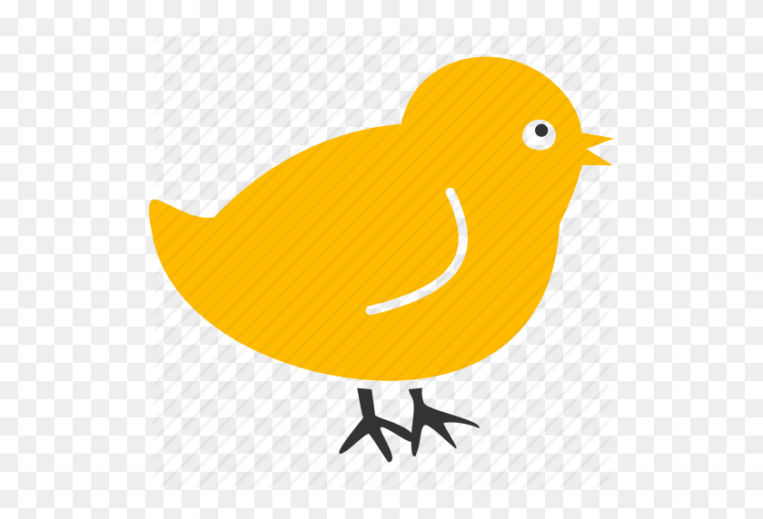 512x512 Baby, Bird, Chick, Chicken, Nestling, New, Small Icon - Baby Chick PNG
