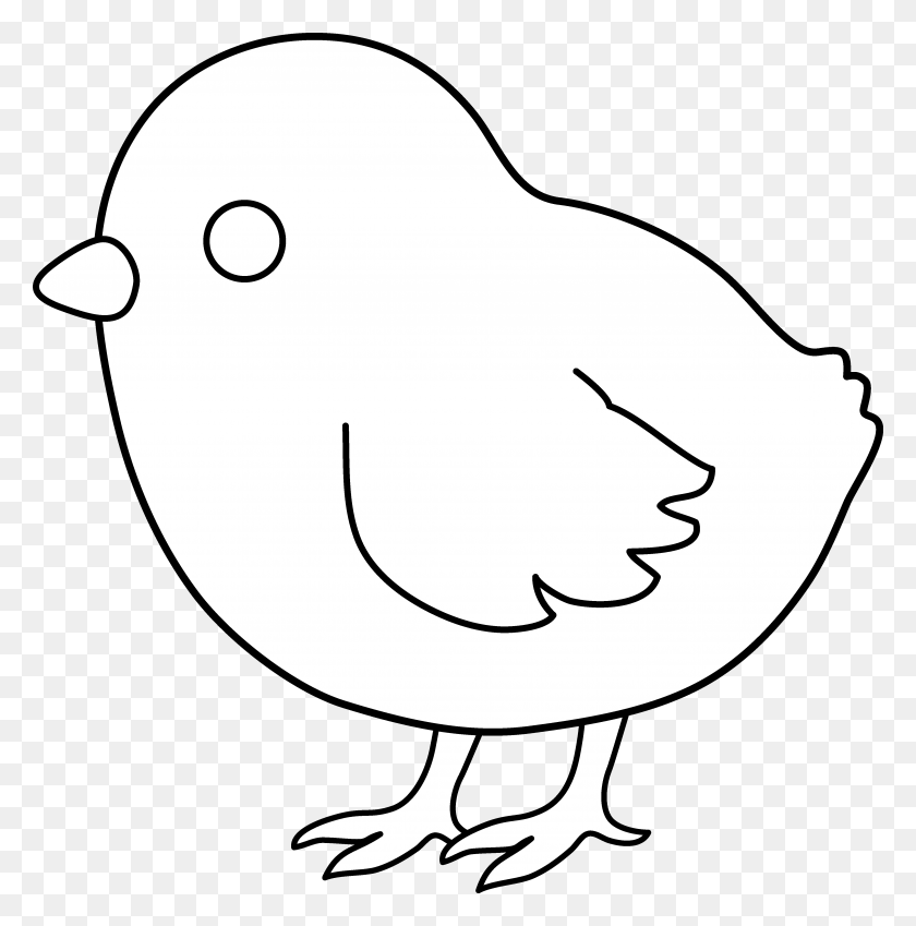 4334x4387 Baby Chick Line Art Dibujos De Pascua Para Colorear, Baby - Clipart De Cesta De Pascua En Blanco Y Negro