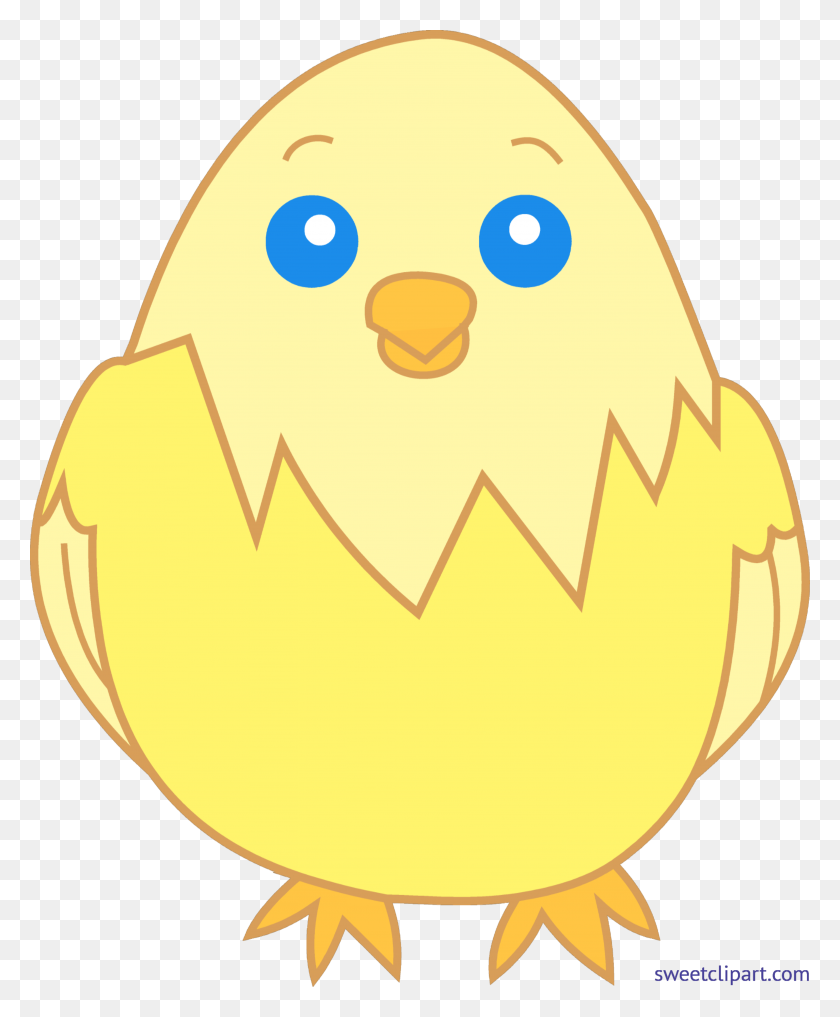 3949x4846 Baby Chick Yellow Clipart - Imágenes Prediseñadas De Baby Chick