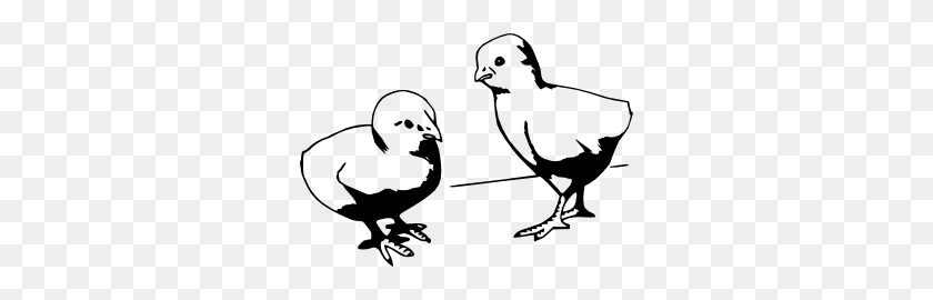 300x210 Baby Chicks Clip Art - Pigeon Clipart Black And White