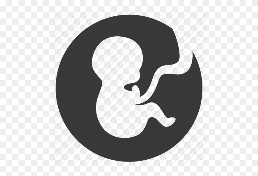 512x512 Baby, Embryo, Life, Newborn, Pregnancy, Pregnant, Prenatal Icon - Pregnancy PNG