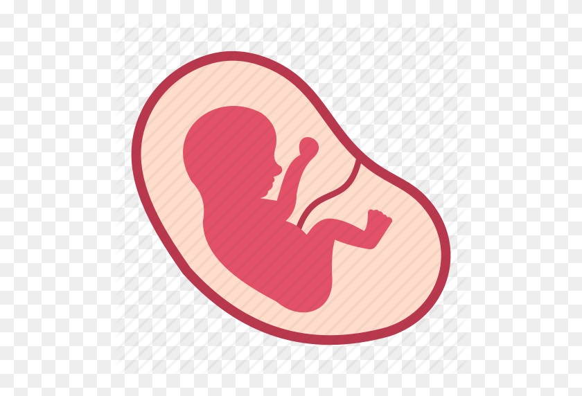 512x512 Baby, Fetus, Human, Life, Medical, Pregnancy, Womb Icon - Fetus PNG