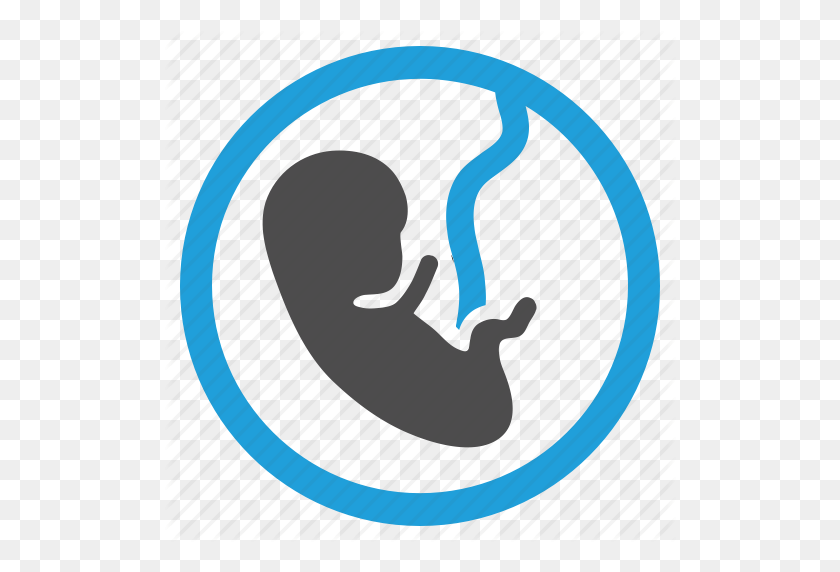 512x512 Bebé, Feto, Obstetricia, Embarazo Icono - Feto Png