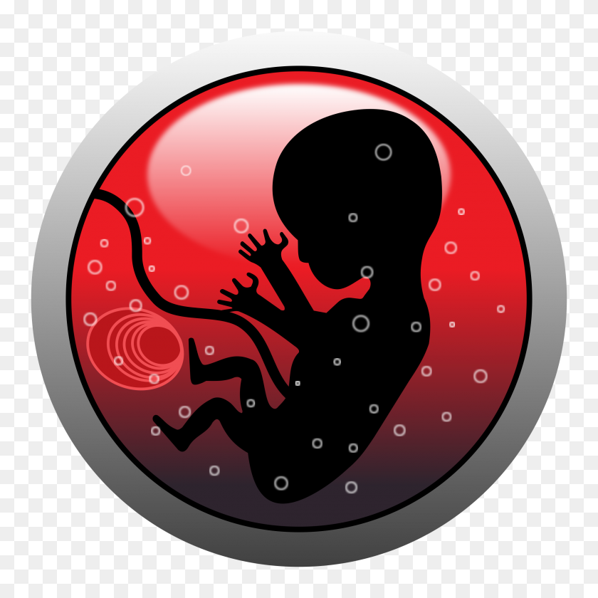 2400x2400 Baby In Womb Vector Clipart Image - Uterus Clipart