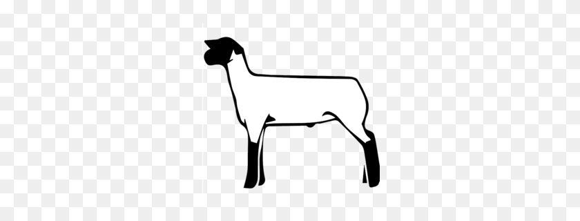260x260 Baby Lamb With Bow Clipart - Cute Goat Clipart