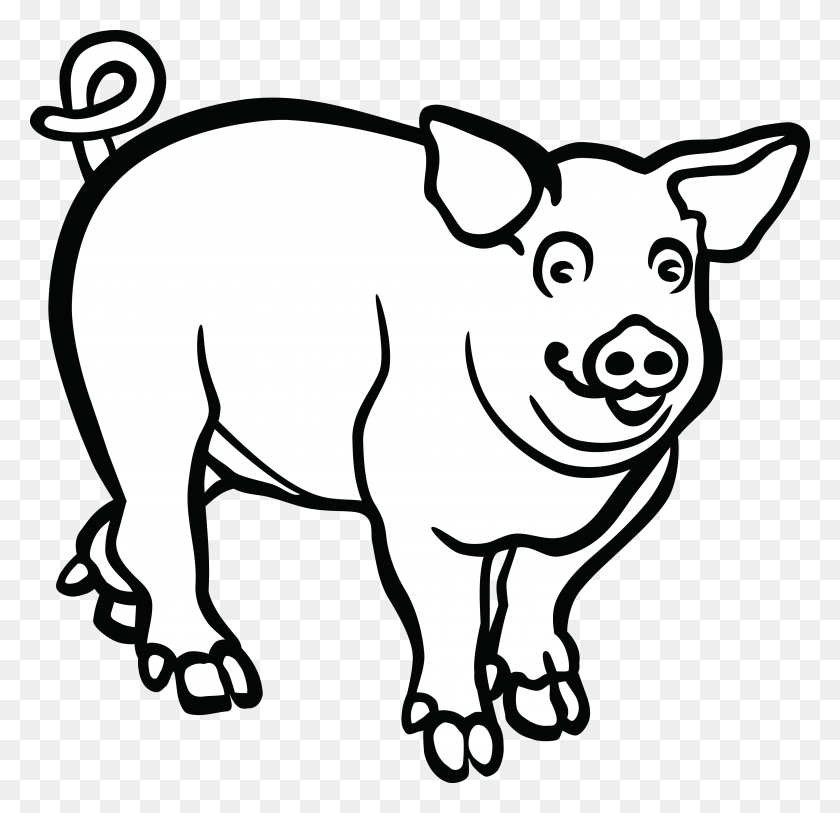 4000x3862 Baby Pig Clipart, Baby Pig Cartoons - Guinea Pig Clipart Black And White