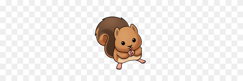 220x220 Baby Squirrel - Ferret Clipart