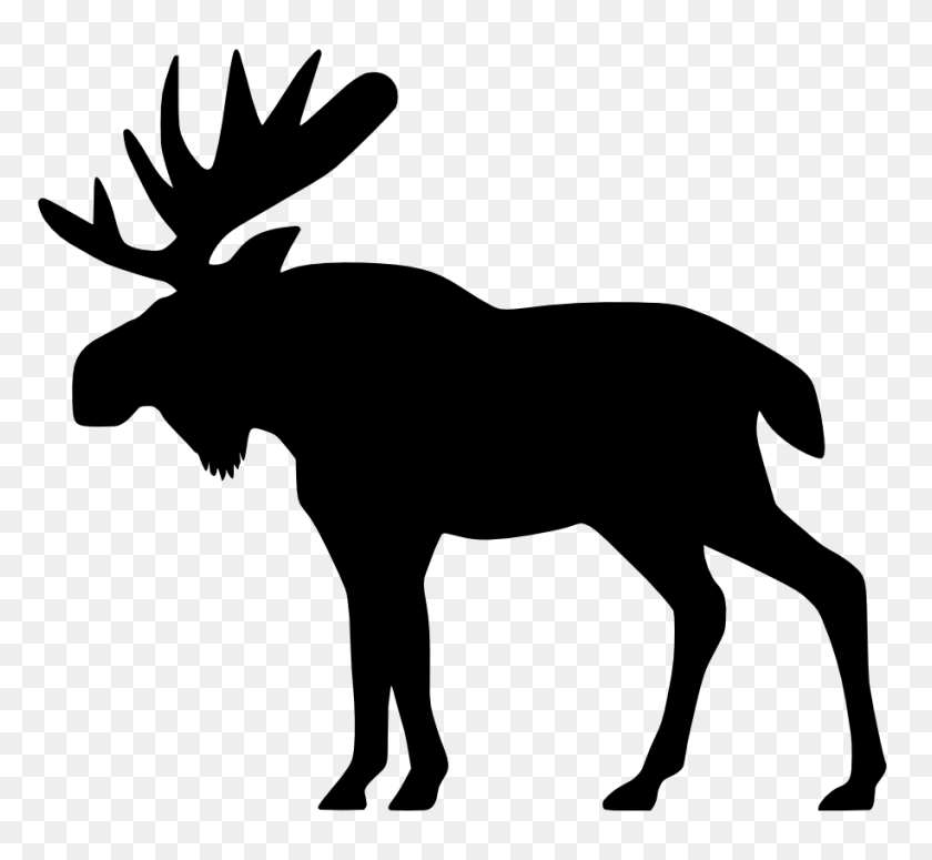 915x839 Baby Style Moose, Moose - Moose Clipart Black And White