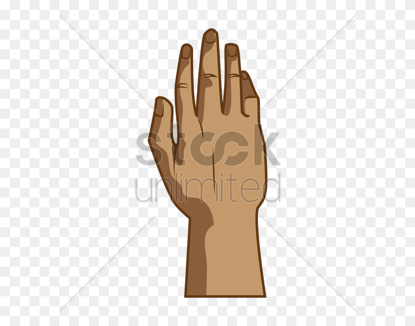 600x600 Back Hand Vector Image - Back Of Hand PNG