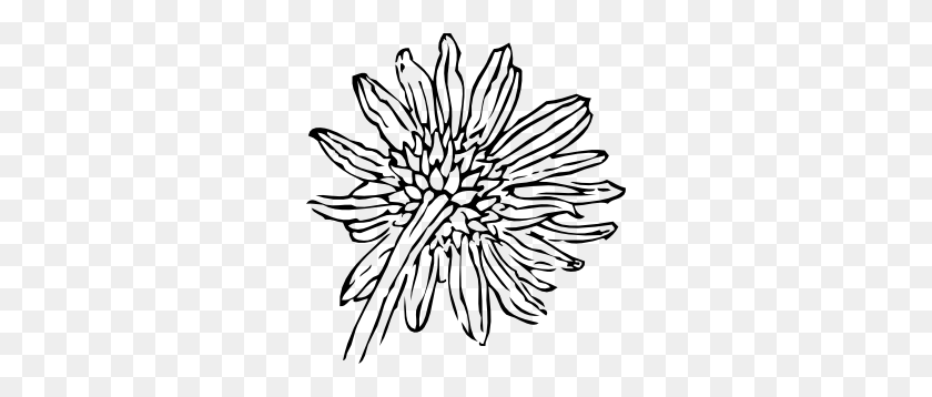 288x298 Back Of A Sunflower Clip Art - Garden Clipart Black And White