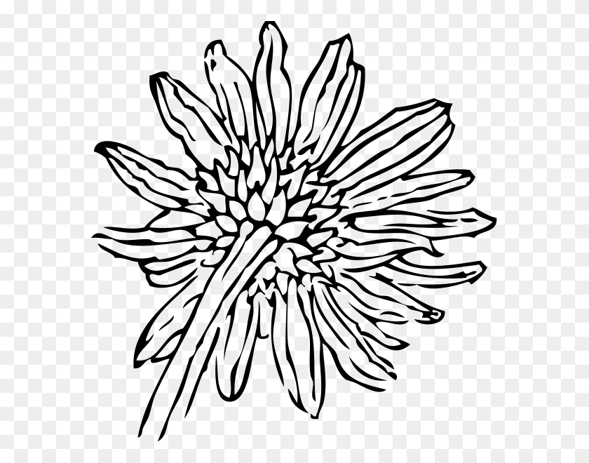 579x600 Back Of A Sunflower Clipart Png For Web - Sunflower Clipart Black And White