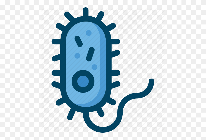 512x512 Bacteria, Biology, Cell, Pathogenic, Science Icon - Bacteria PNG