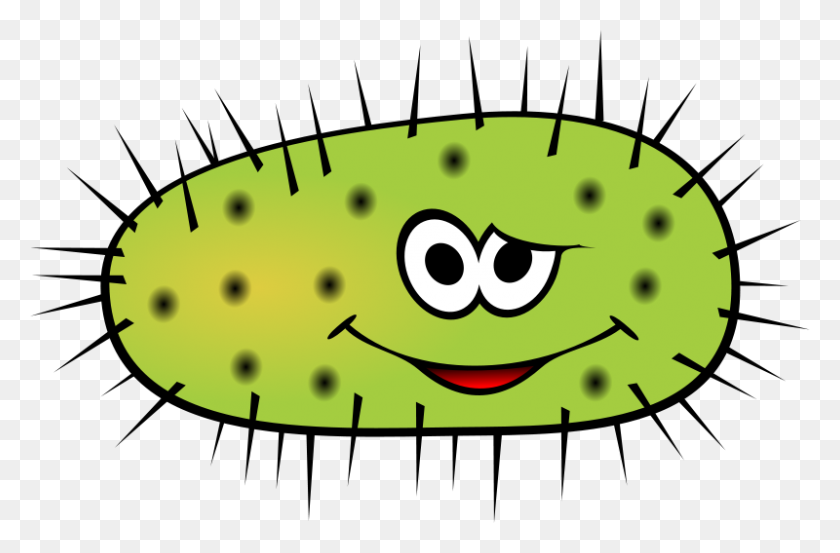 800x506 Bacterias Clipart Lupa - Lupa Clipart Png
