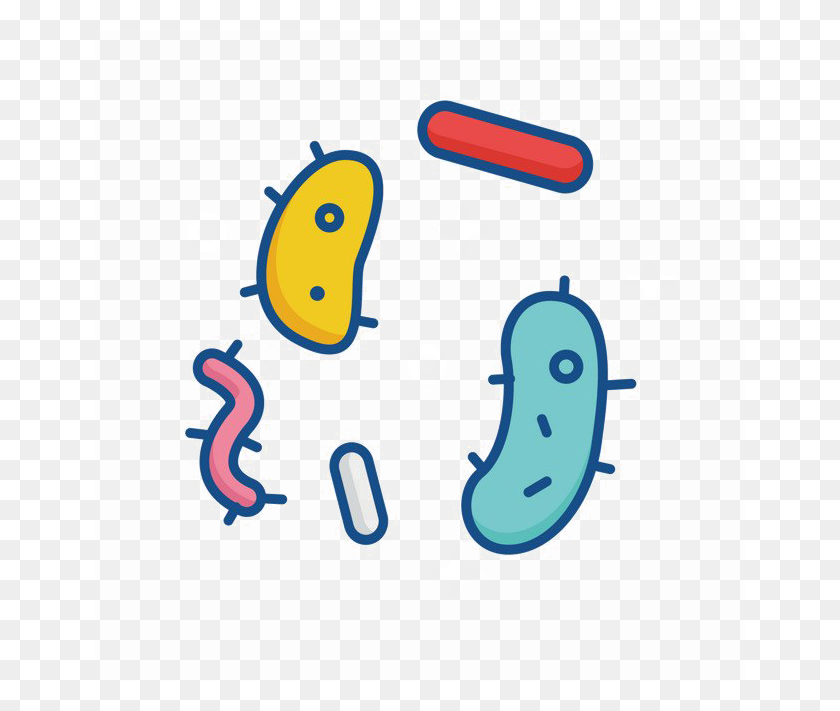 650x651 Bacterias Png - Bacterias Png