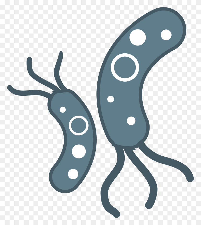 1855x2093 Bacteria Png Transparent Images - Microorganisms Clipart