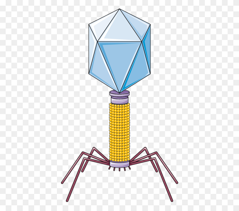 414x680 Bacteriophage F - To Set The Table Clipart