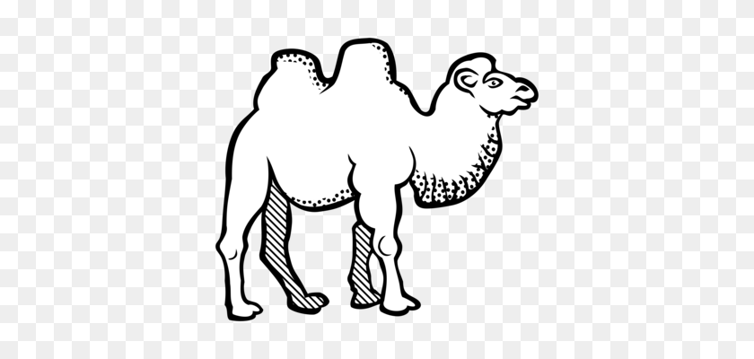 384x340 Bactrian Camel Download Drawing Camel Train Camel Graphics Free - Nomad Clipart