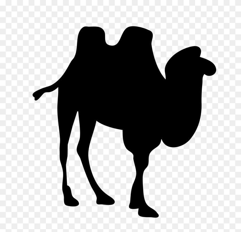 750x750 Bactrian Camel Dromedary Silhouette Camel Train - Train Silhouette Clip Art