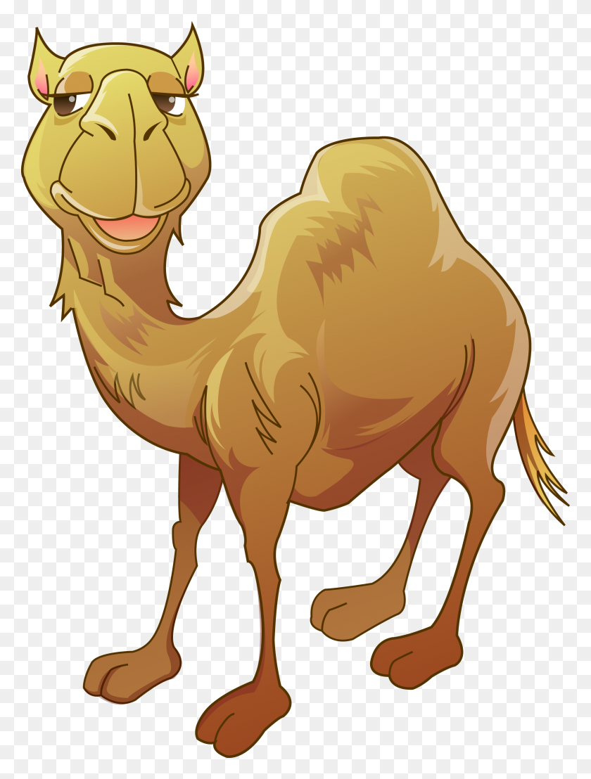 2329x3131 Camello Bactriano Humor Clipart - Camel Clipart