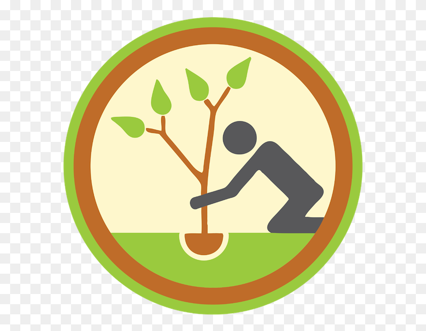 595x593 Badge Clipart Png - Planting Trees Clipart