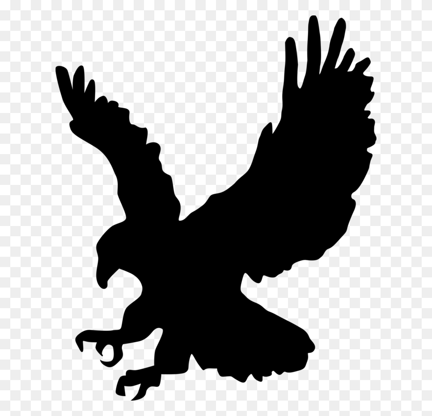 624x750 Скачать Рисунок Птицы Белоголовый Орлан - Канюк Клипарт