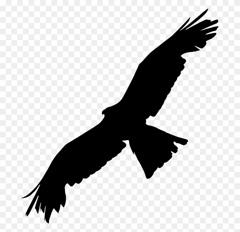 690x750 Bald Eagle Bird Of Prey Silhouette - Prey Clipart