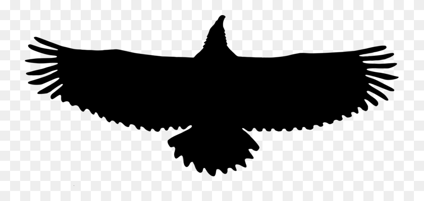 741x340 Águila Calva Iconos De Equipo Descargar Águila Dorada - Águila En Blanco Y Negro De Imágenes Prediseñadas