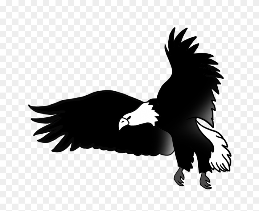 886x709 Dibujos De Águila Calva - Clipart De Salmón En Blanco Y Negro