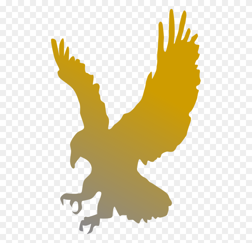 499x750 Bald Eagle Golden Eagle Bird Computer Icons - Raptor Clipart