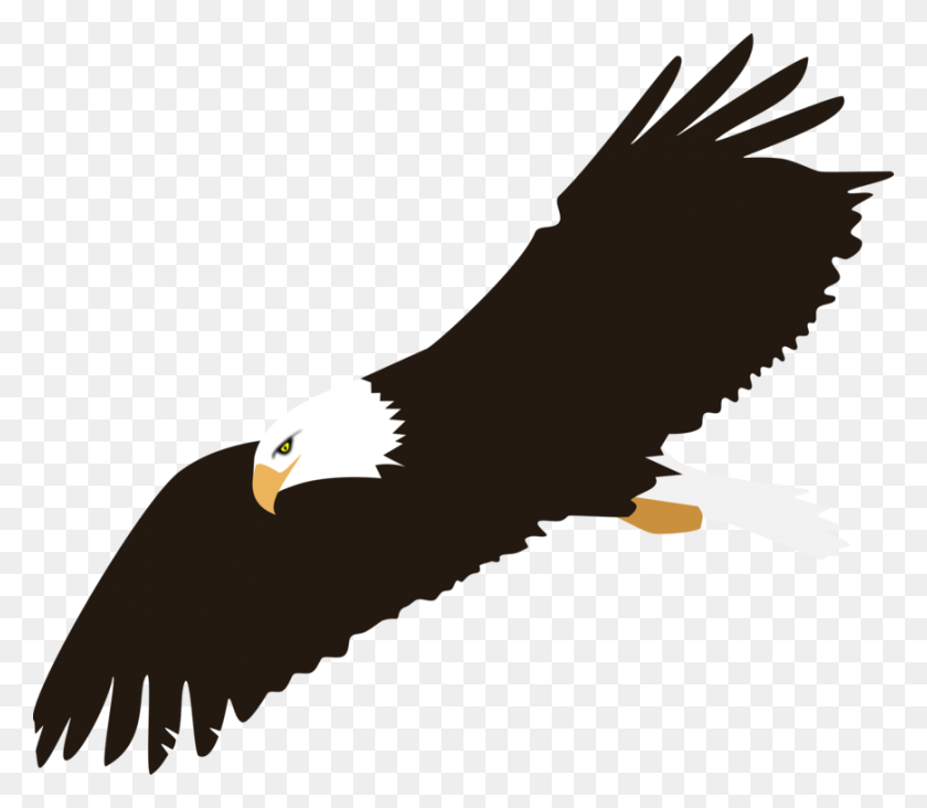 870x750 Bald Eagle Harpy Eagle Download - Tribal Eagle Clipart