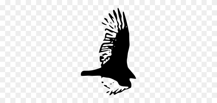 214x340 Bald Eagle Hawk Owl Bird - Hawk Head Clipart