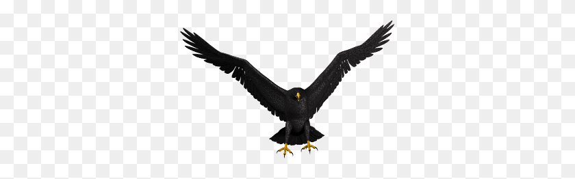 313x202 Bald Eagle Png Picture - Eagle PNG